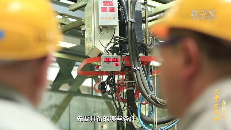定制化与标准化：教育机构数字化解决方案的差异化选择**